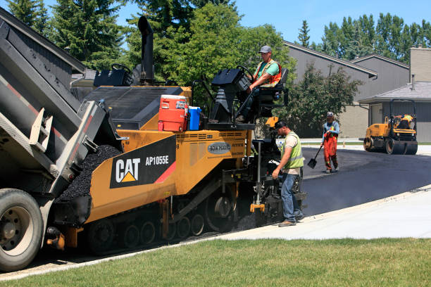 Best Professional Driveway Pavers  in Dewitt, MI